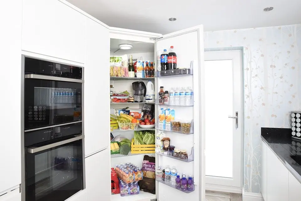 Refrigerator-Repair--in-Scottsmoor-Florida-Refrigerator-Repair-3936856-image