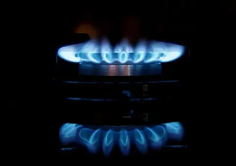 Thermador-Appliance-Repair--in-Sopchoppy-Florida-Thermador-Appliance-Repair-3945986-image