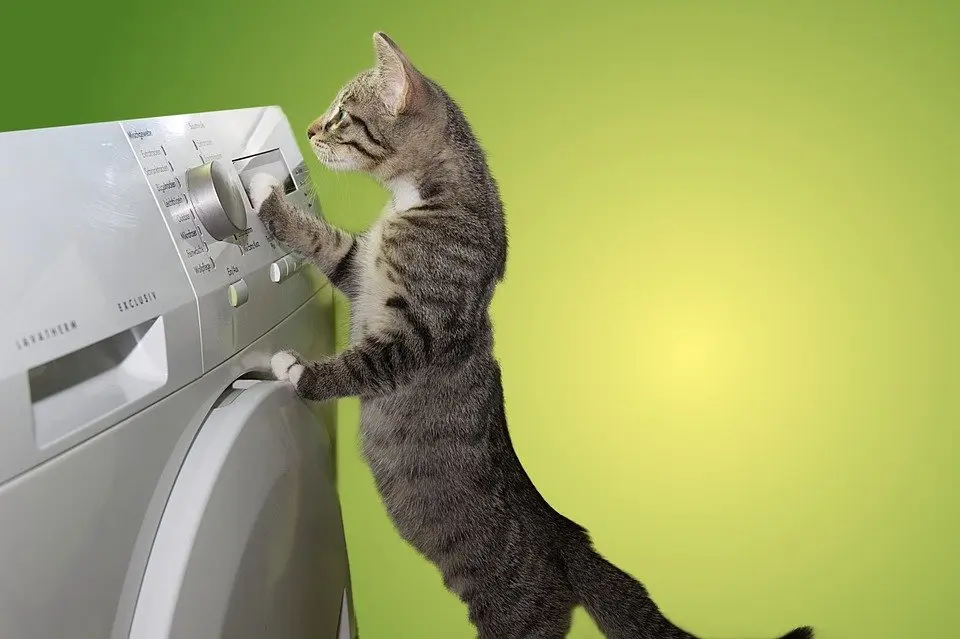 Dryer-Repair--in-Clearwater-Florida-dryer-repair-clearwater-florida.jpg-image