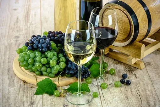 Wine-Cooler-Repair--in-Brandon-Florida-wine-cooler-repair-brandon-florida.jpg-image